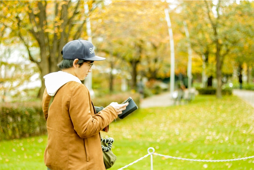 f:id:nissy_246:20181125222210j:plain