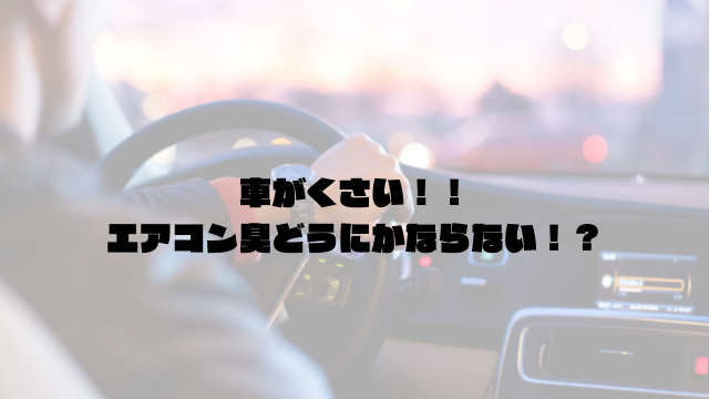 車がカビ臭い 車のエアコンの悪臭を消臭する方法３選 にしブログ
