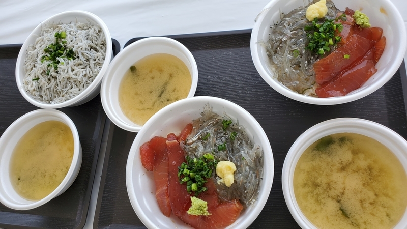漁協直営どんぶりハウスの用宗丼と釜揚げしらす丼
