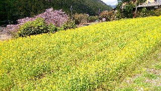 f:id:nitinitikorekouniti:20180507204010j:image f:id:nitinitikorekouniti:20180507204010j:image