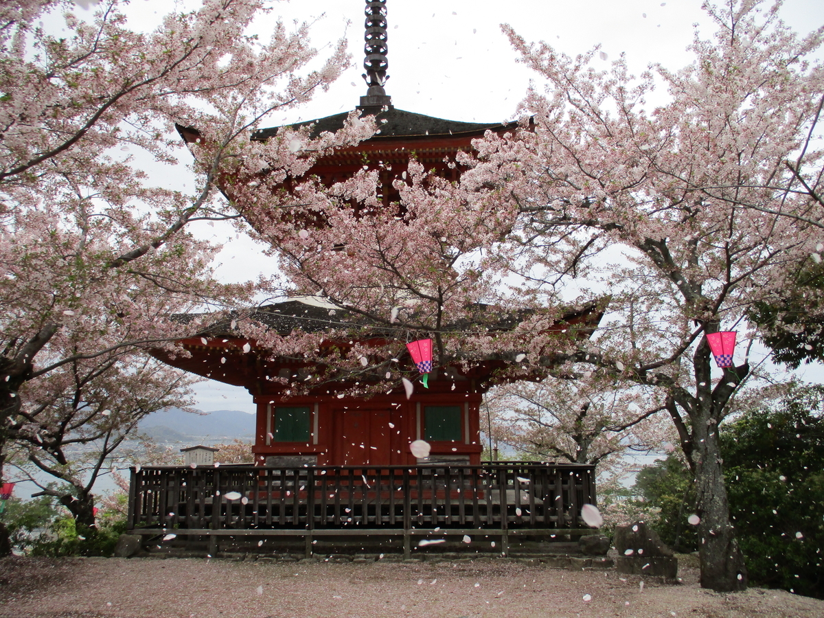 f:id:nitinitikorekouniti:20210404213512j:plain