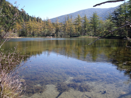 f:id:nititodesu:20121015101218j:image