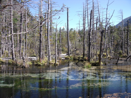 f:id:nititodesu:20121015120809j:image f:id:nititodesu:20121015120809j:image