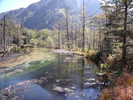 f:id:nititodesu:20121015120829j:image