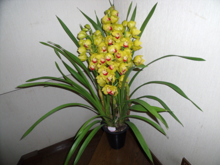 f:id:nititodesu:20140114093509j:image