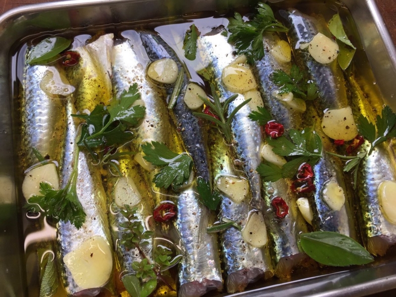 f:id:nitolon:20160923175323j:plain