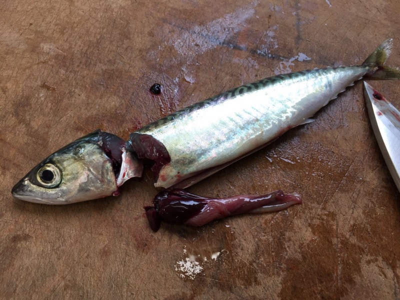 f:id:nitolon:20160923175328j:plain