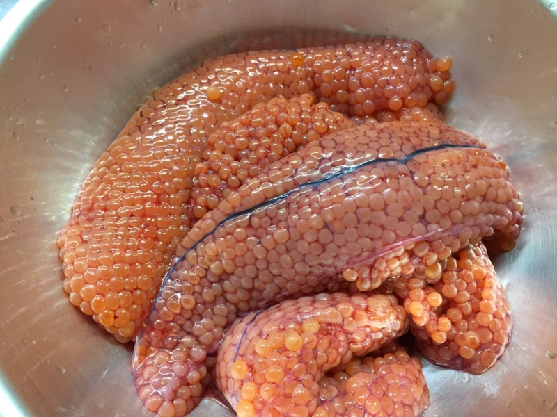 f:id:nitolon:20160928183719j:plain