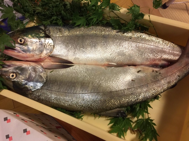 f:id:nitolon:20160928183720j:plain