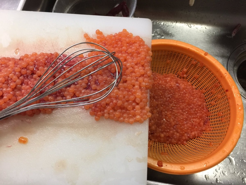 f:id:nitolon:20160928183721j:plain