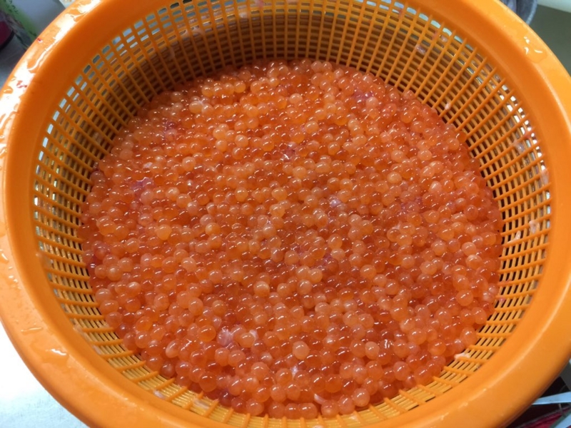 f:id:nitolon:20160928183722j:plain