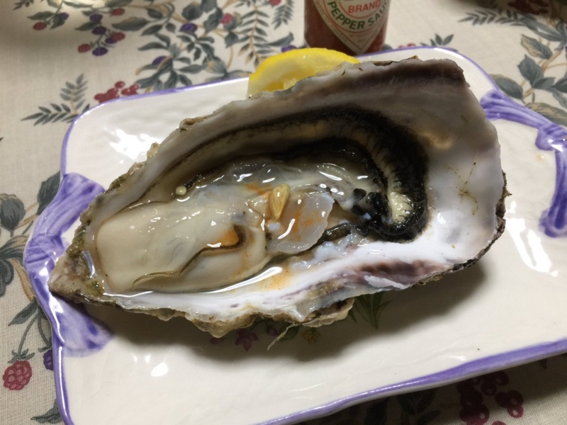 f:id:nitolon:20170519195432j:plain