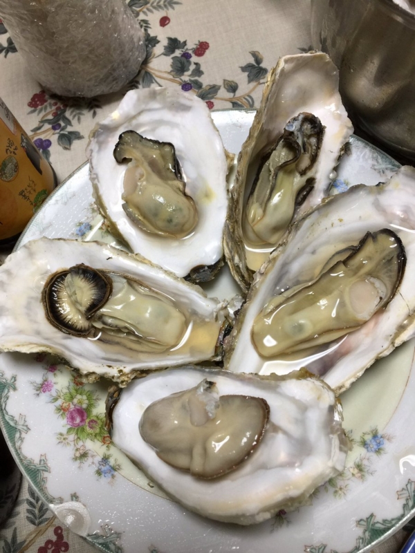 f:id:nitolon:20170519195433j:plain
