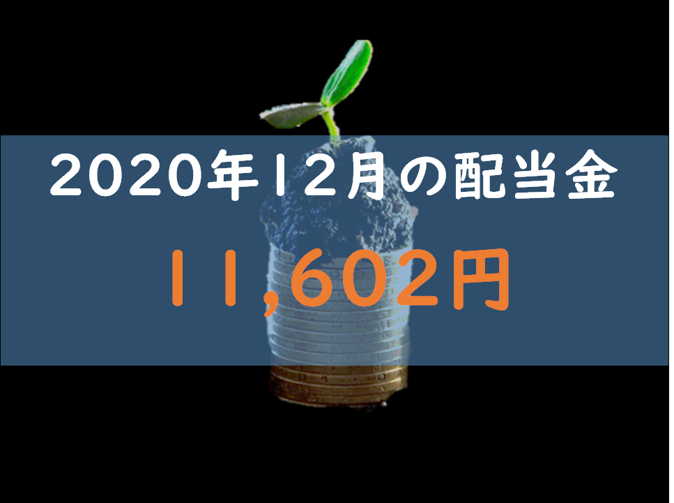 f:id:nitoriyuka:20210109102805p:plain