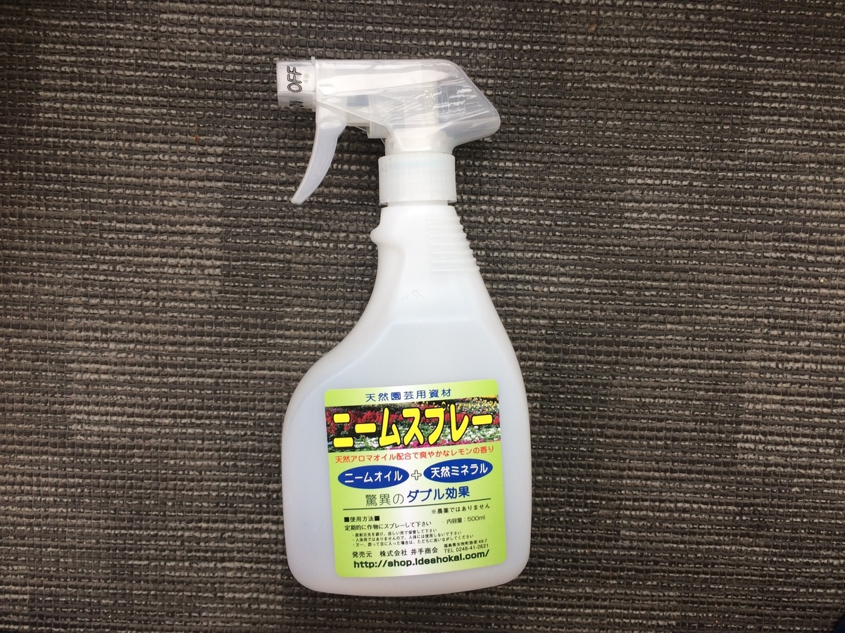 f:id:nitto-chan:20191011132500j:plain f:id:nitto-chan:20191011132500j:plain