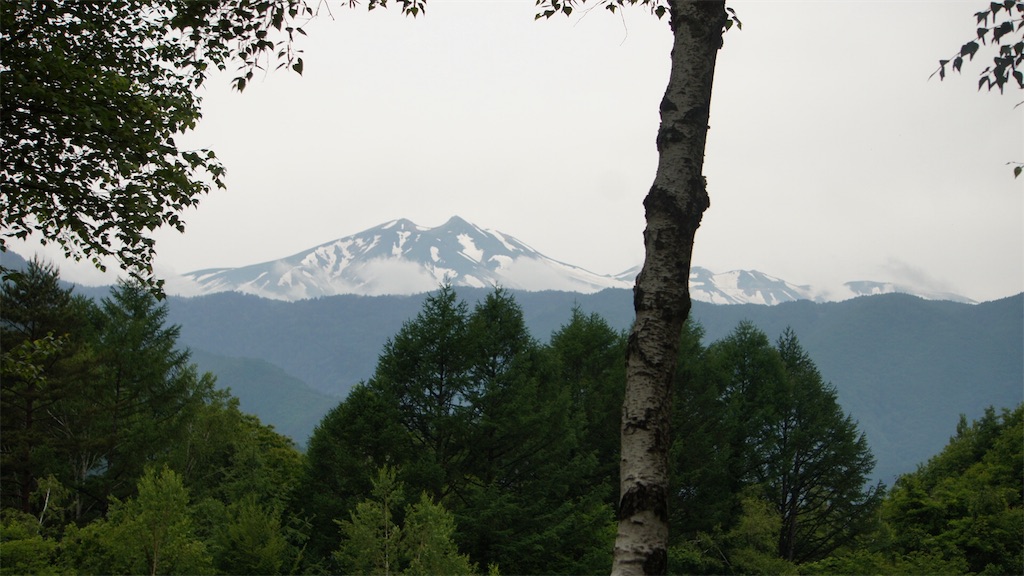 f:id:niwacamp:20180615185957j:image f:id:niwacamp:20180615185957j:image