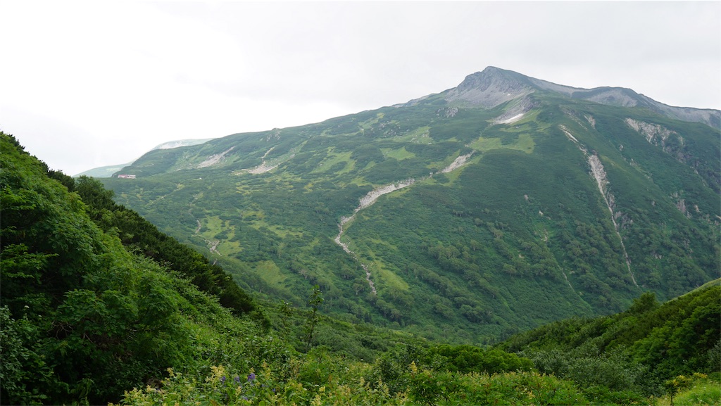 f:id:niwacamp:20190828153222j:image f:id:niwacamp:20190828153222j:image