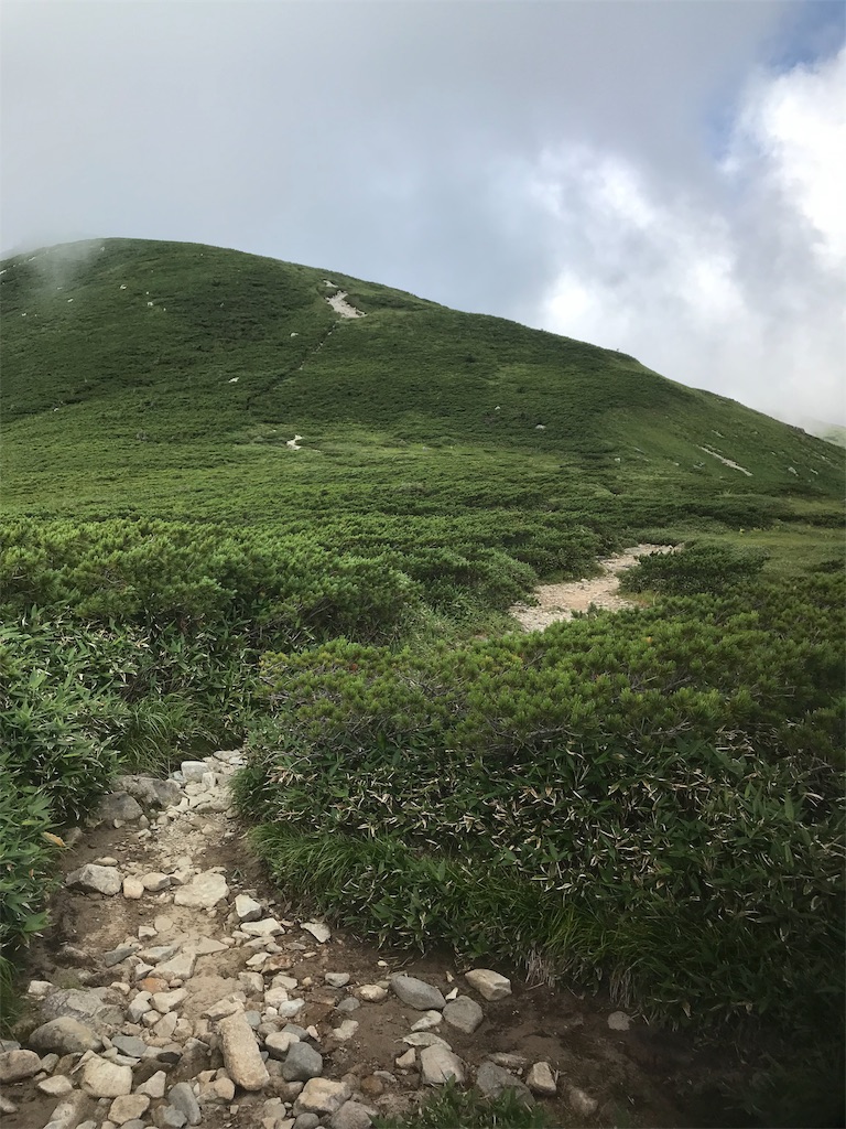 f:id:niwacamp:20190828153236j:image f:id:niwacamp:20190828153236j:image