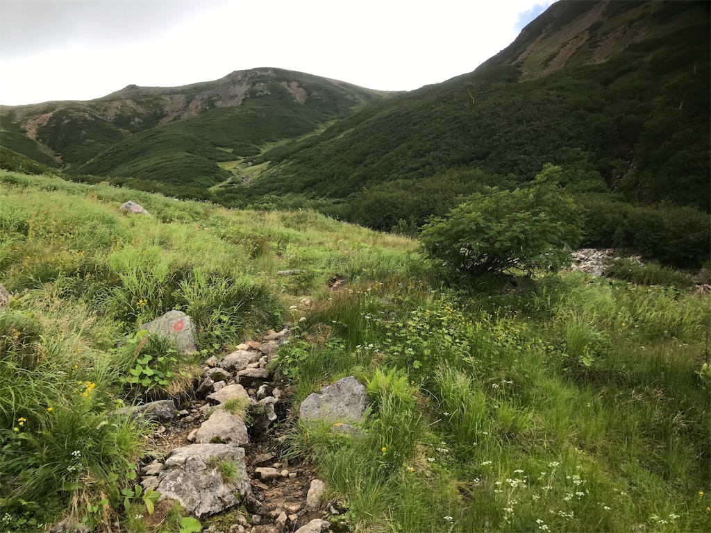 f:id:niwacamp:20190828153251j:image f:id:niwacamp:20190828153251j:image
