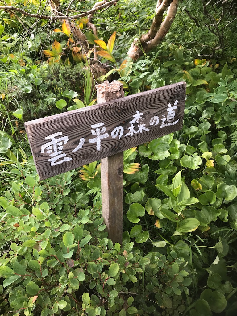 f:id:niwacamp:20190828153400j:image f:id:niwacamp:20190828153400j:image
