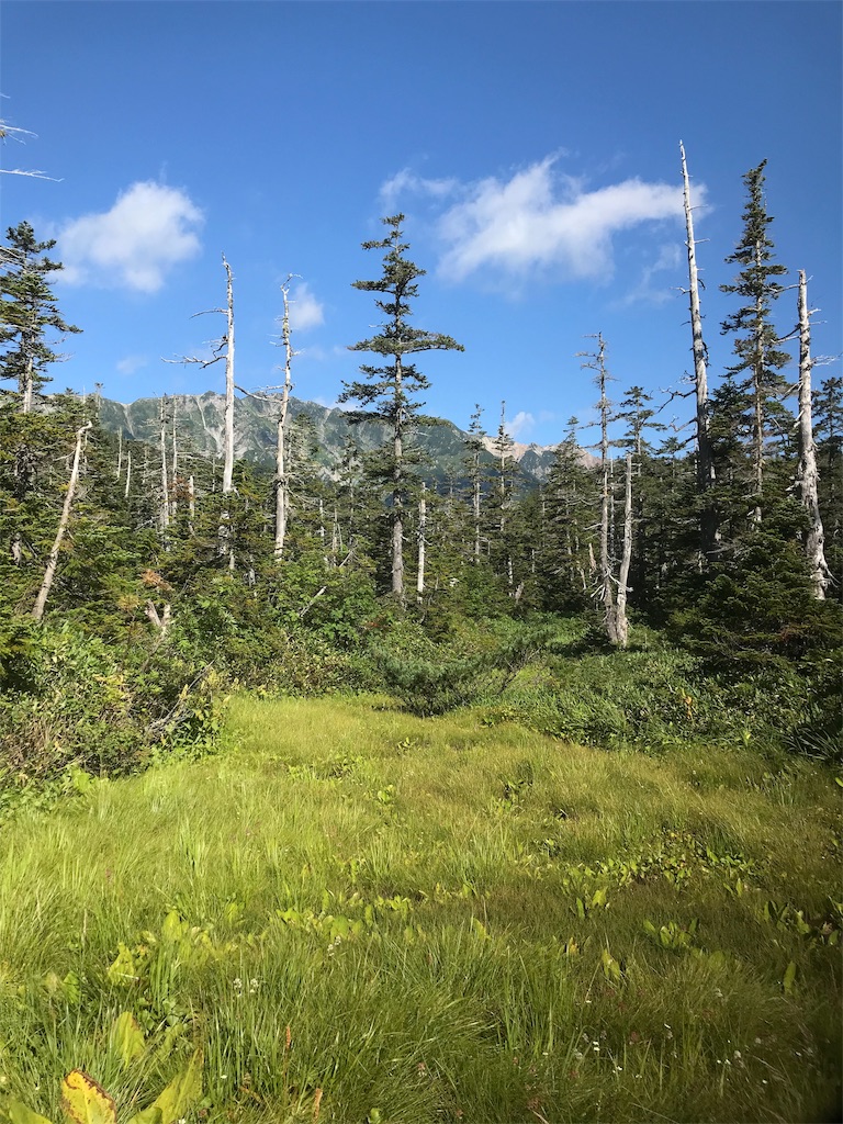 f:id:niwacamp:20190828153419j:image f:id:niwacamp:20190828153419j:image