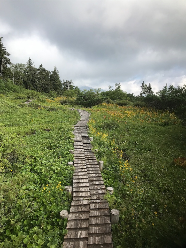 f:id:niwacamp:20190828153710j:image f:id:niwacamp:20190828153710j:image