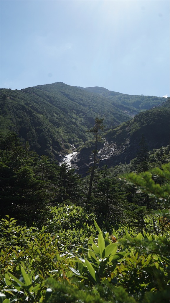f:id:niwacamp:20190828153727j:image f:id:niwacamp:20190828153727j:image