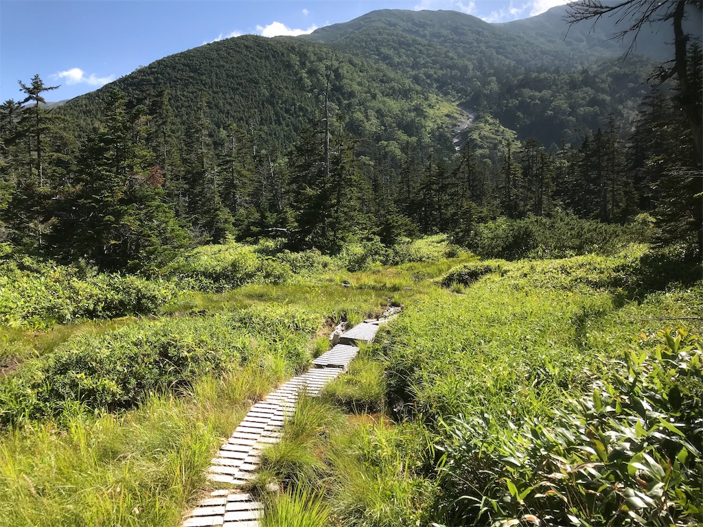 f:id:niwacamp:20190828153732j:image f:id:niwacamp:20190828153732j:image