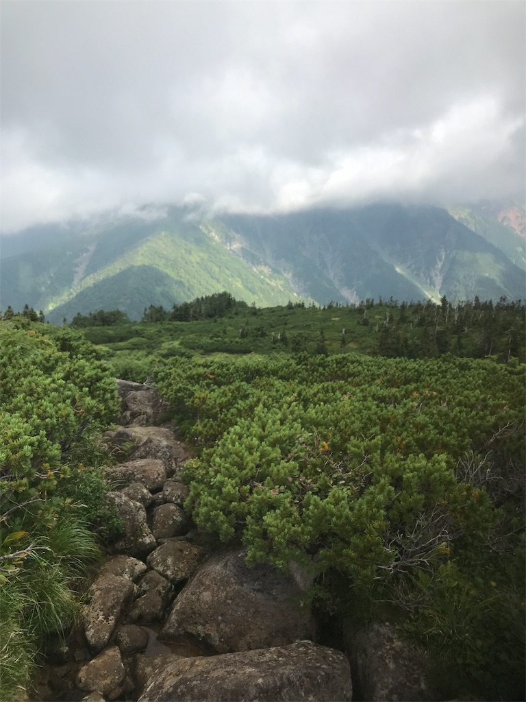 f:id:niwacamp:20190828153751j:image f:id:niwacamp:20190828153751j:image