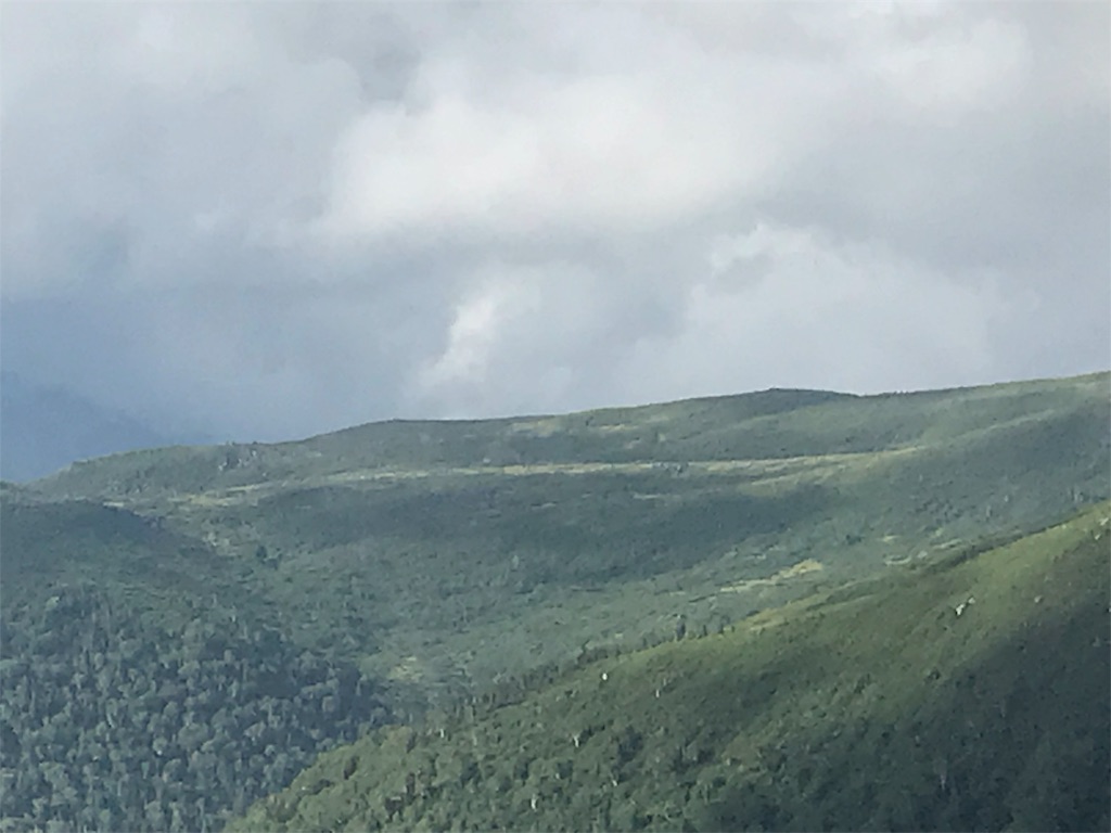 f:id:niwacamp:20190829104752j:image f:id:niwacamp:20190829104752j:image