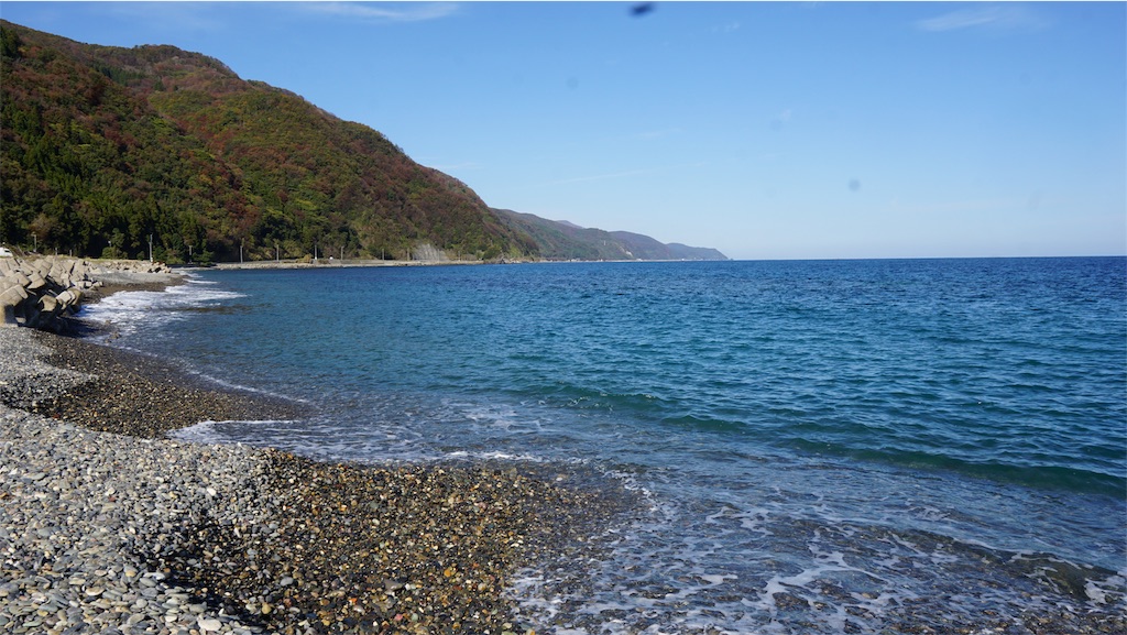 f:id:niwacamp:20191115161505j:image f:id:niwacamp:20191115161505j:image