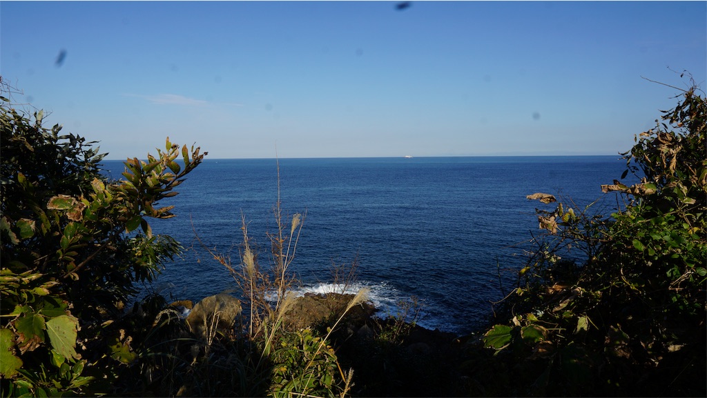 f:id:niwacamp:20191115162916j:image f:id:niwacamp:20191115162916j:image