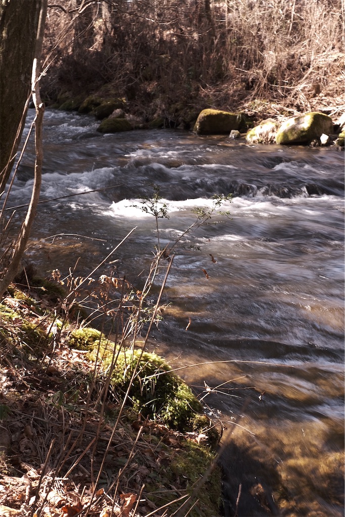 f:id:niwacamp:20200221192058j:image