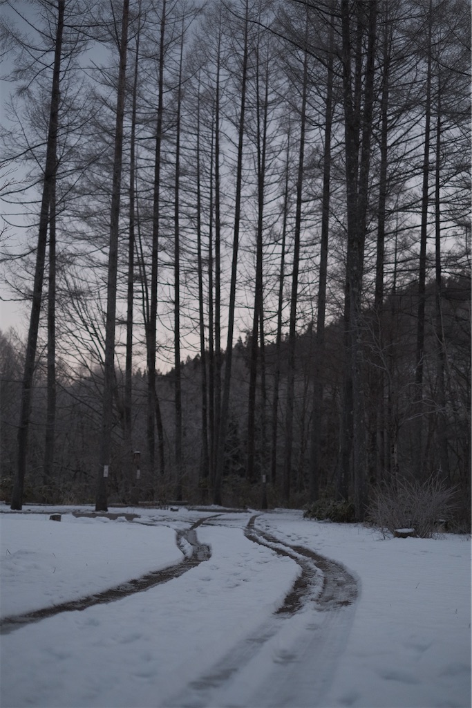 f:id:niwacamp:20200309141252j:image