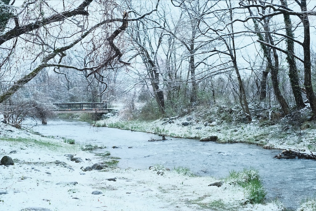 f:id:niwacamp:20200329225126j:image