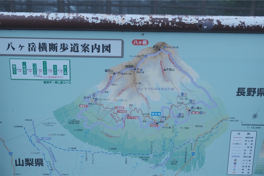 f:id:niwacamp:20200804084050j:image