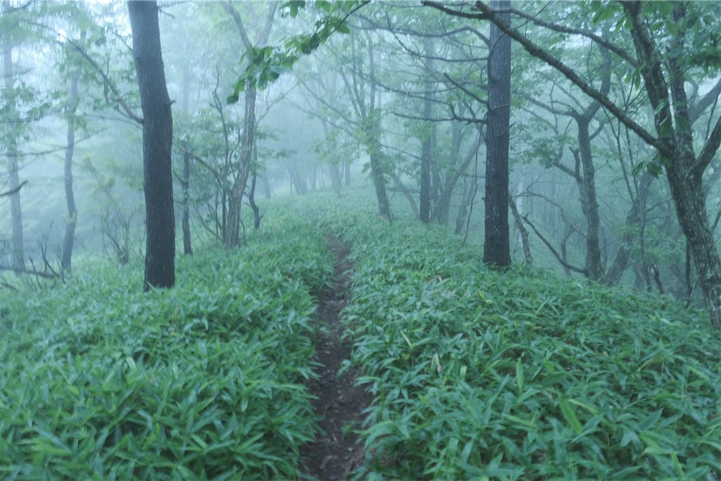 f:id:niwacamp:20200804084108j:image