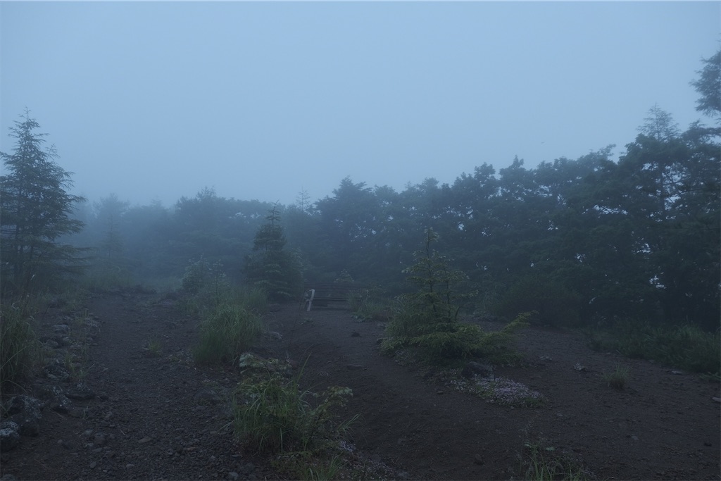 f:id:niwacamp:20200804084136j:image