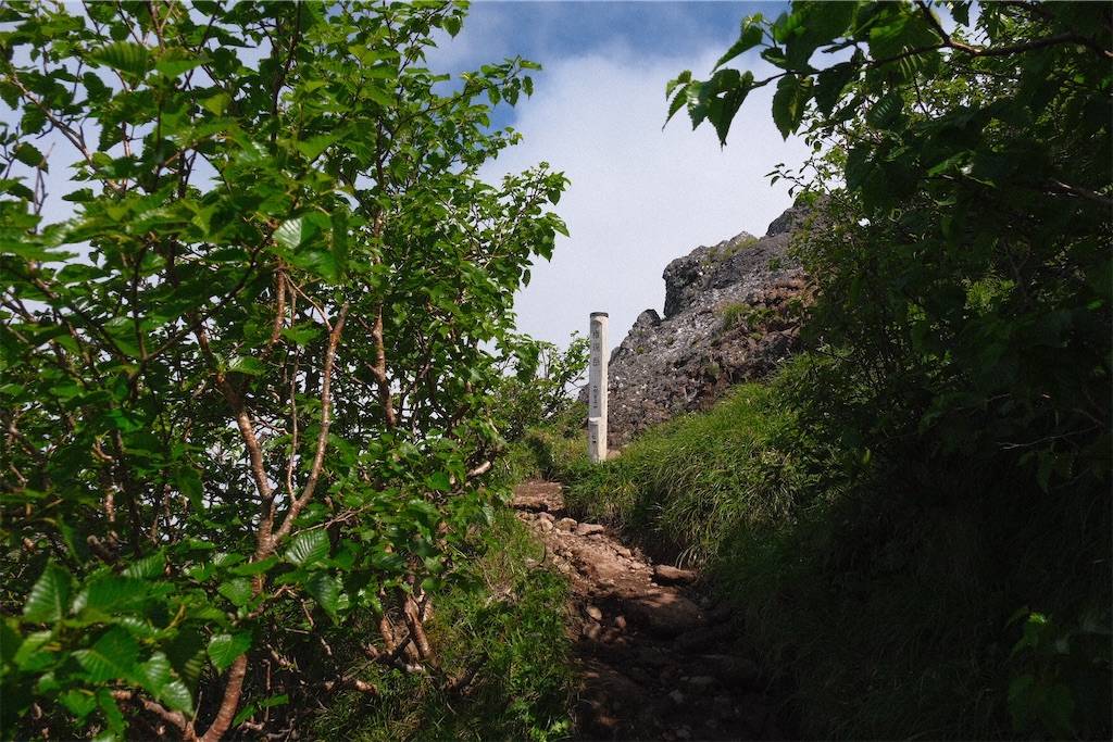 f:id:niwacamp:20200804090153j:image