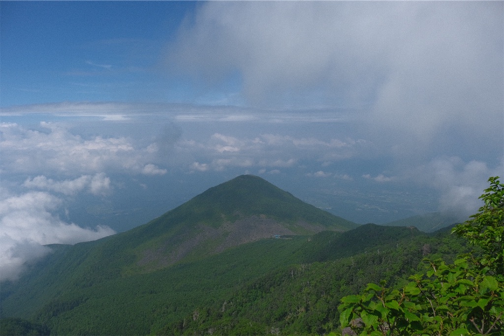 f:id:niwacamp:20200804090240j:image
