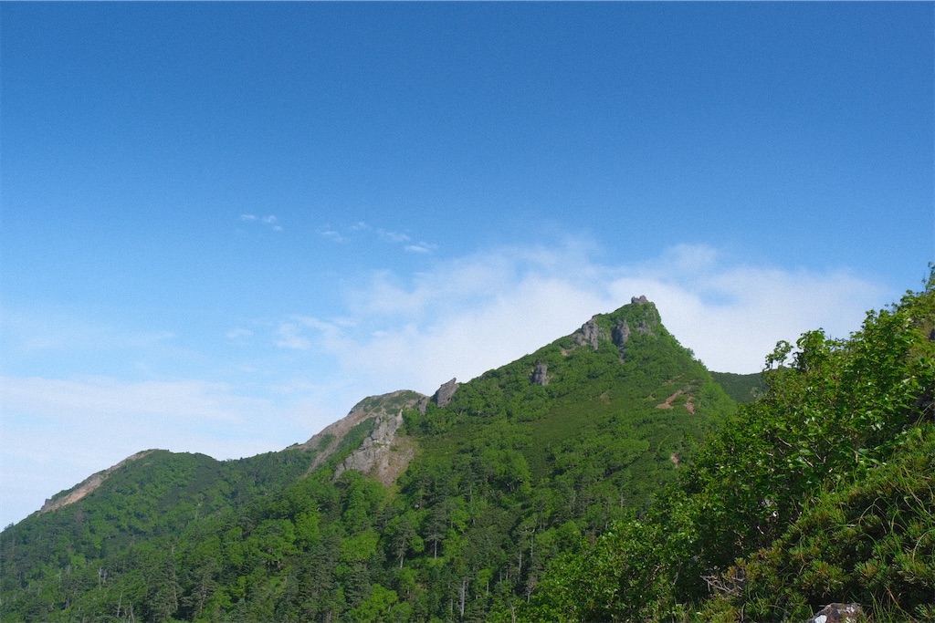 f:id:niwacamp:20200804090243j:image