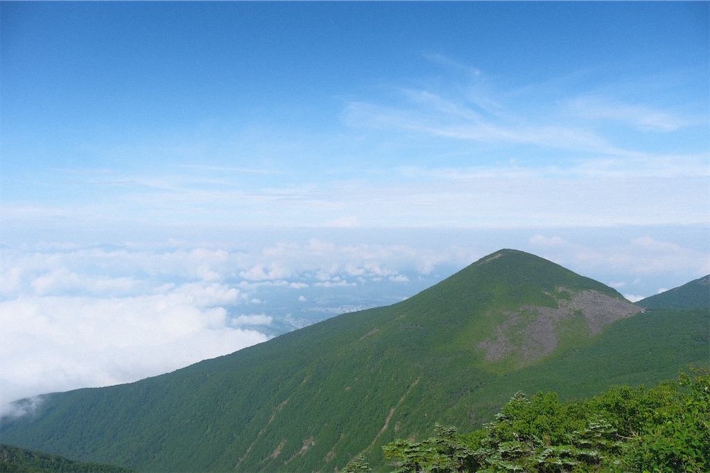 f:id:niwacamp:20200804090322j:image