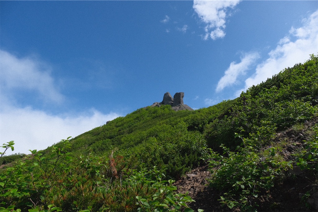 f:id:niwacamp:20200804090347j:image