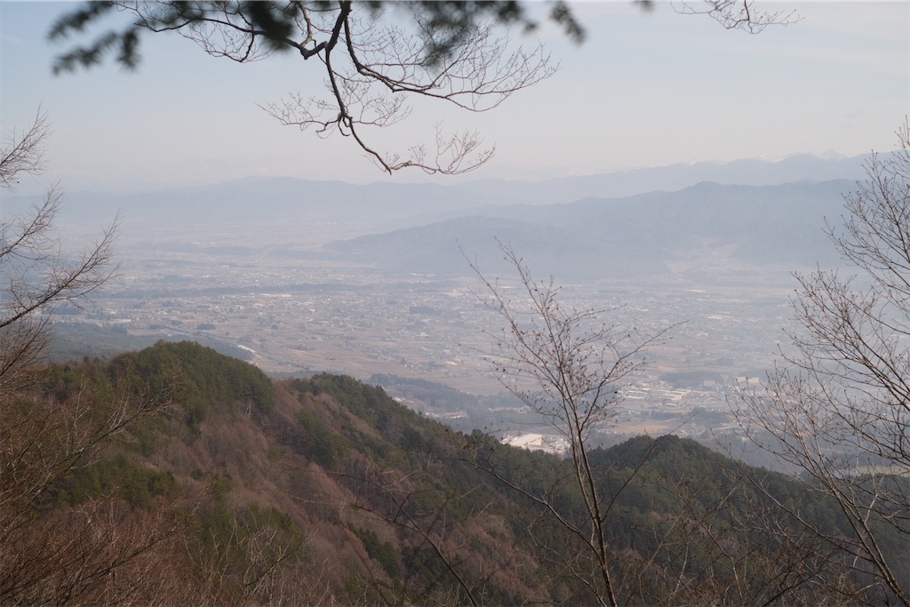 f:id:niwacamp:20210309215849j:image