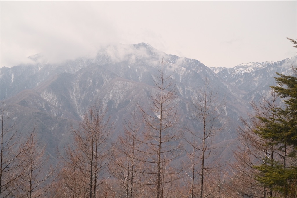 f:id:niwacamp:20210309215927j:image