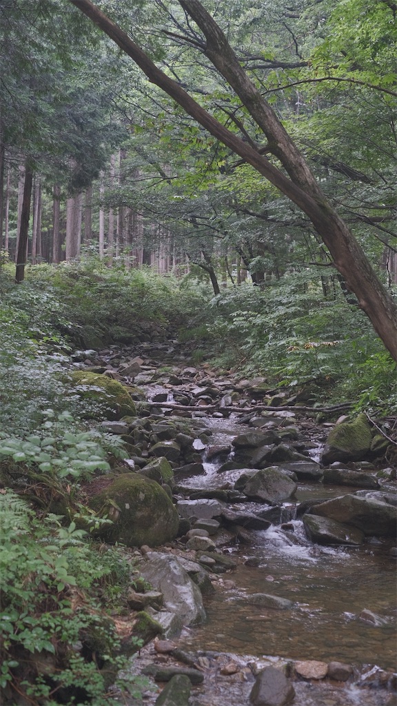 f:id:niwacamp:20230911080222j:image