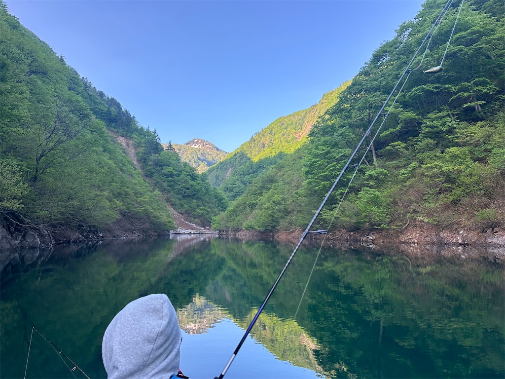 f:id:niwacat:20240507212332j:image