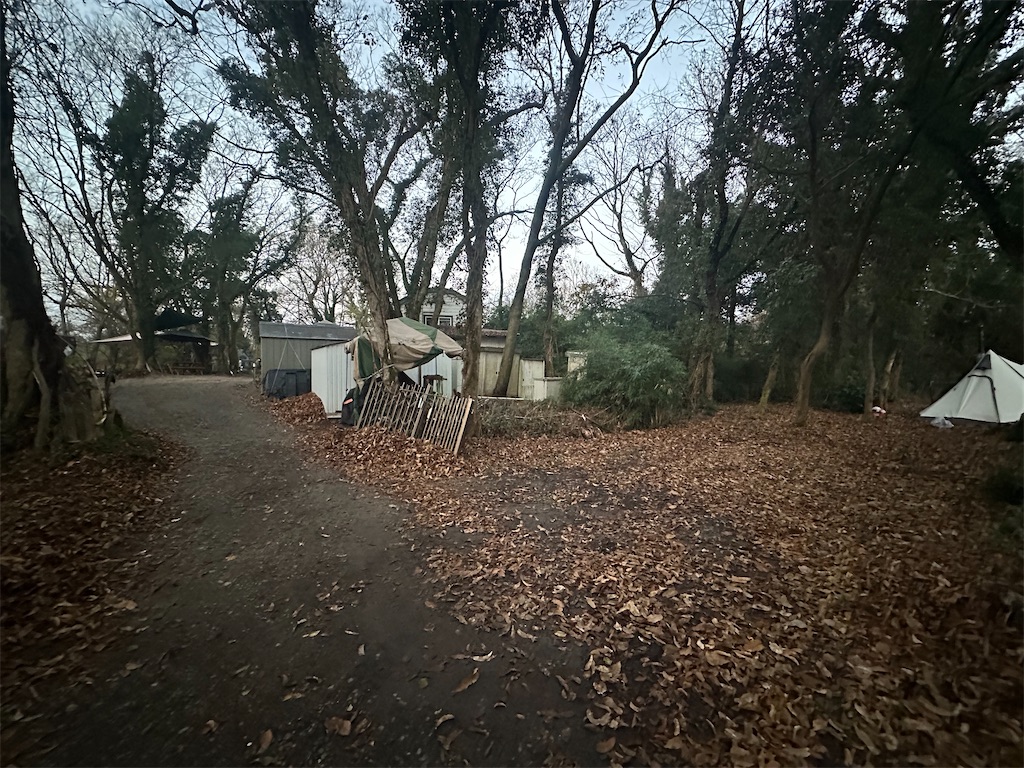f:id:niwacat:20250101083517j:image