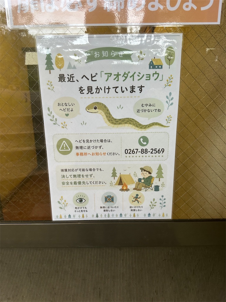 f:id:niwacat:20260814220543j:image