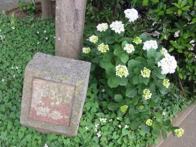 2019年6月5日